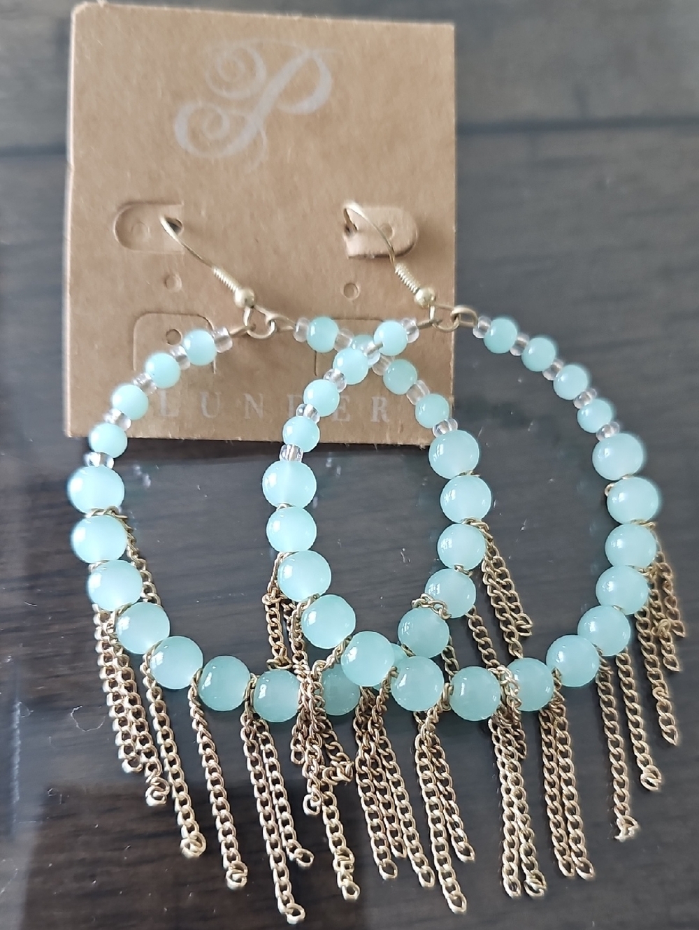 Nwt Plunder Hoop Earings
